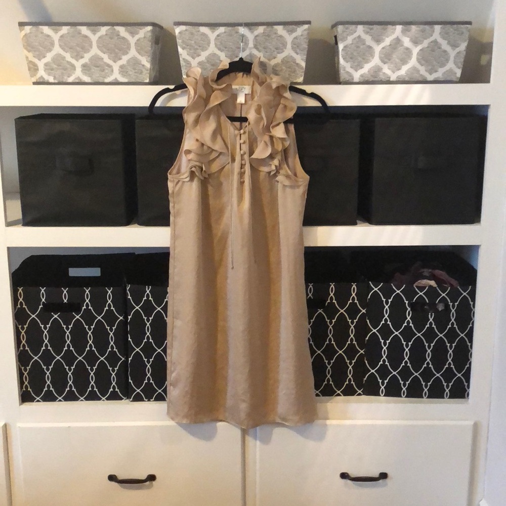 Ann Taylor LOFT dress